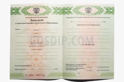 диплом пту